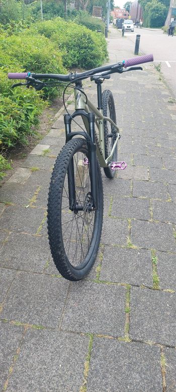 Used Specialized Rockhopper Comp 2024 2024 Mountainbike, Green, 27.5, 29 — image 2 of 6