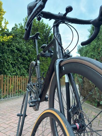 Used Giant TCR Advanced Disc 1 2022 2022 Road & Gravel, Light Gray — image 13 of 14