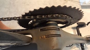 Tweedehands U. Scanini US 925 2020 Road & Gravel — afbeelding 24 van 33