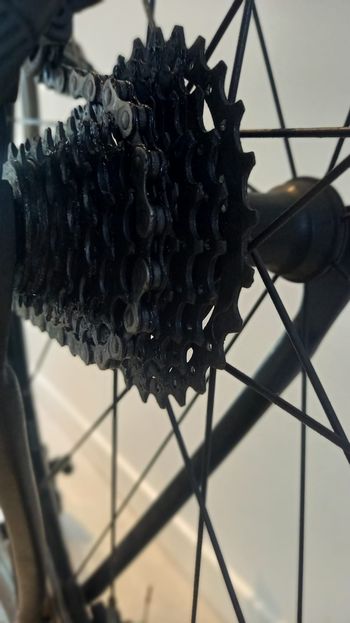 Tweedehands U. Scanini US 925 2020 Road & Gravel — afbeelding 27 van 33