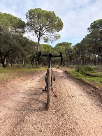 Gebrauchtes Orbea Terra Shimano GRX 2024 Road & Gravel, Schwarz — Bild 2 von 3
