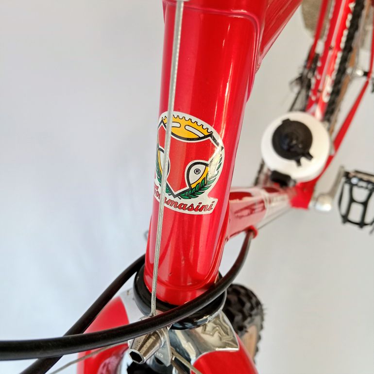 Used Tommasini Monte Amiata Anno 1991 Mtb, Mountain Bike, Vintage 1991 Mountainbike, Red — image 14 of 52