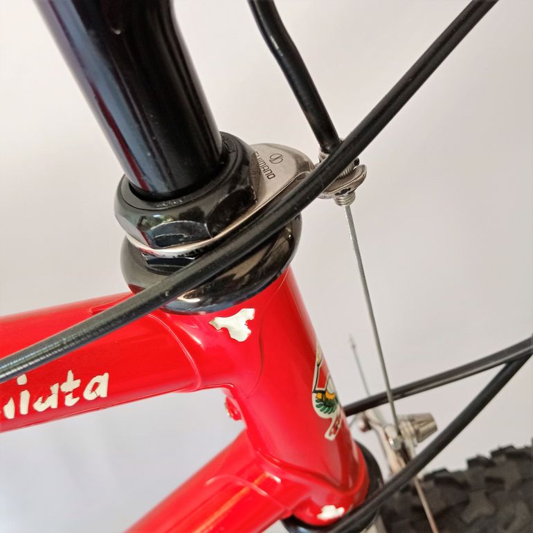 Used Tommasini Monte Amiata Anno 1991 Mtb, Mountain Bike, Vintage 1991 Mountainbike, Red — image 20 of 52