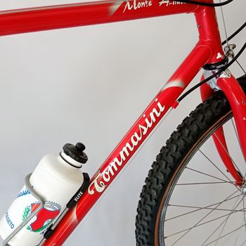 Used Tommasini Monte Amiata Anno 1991 Mtb, Mountain Bike, Vintage 1991 Mountainbike, Red — image 5 of 52
