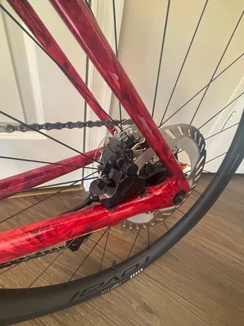 Used Specialized Roubaix SL8 Pro 2025 2025 Road & Gravel, Red — image 6 of 6
