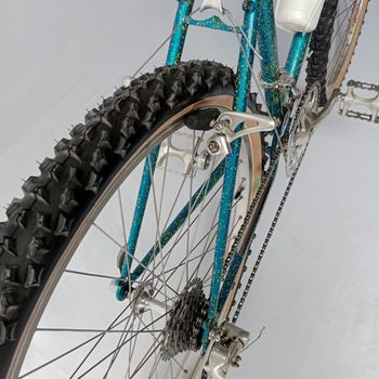 Used Serena Anno 1989 Mtb, Mountain Bike, Vintage 1989 Mountainbike, Blue — image 25 of 33