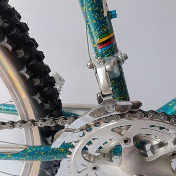 Used Serena Anno 1989 Mtb, Mountain Bike, Vintage 1989 Mountainbike, Blue — image 23 of 33