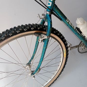 Used Serena Anno 1989 Mtb, Mountain Bike, Vintage 1989 Mountainbike, Blue — image 13 of 33