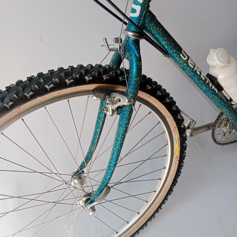 Used Serena Anno 1989 Mtb, Mountain Bike, Vintage 1989 Mountainbike, Blue — image 13 of 33