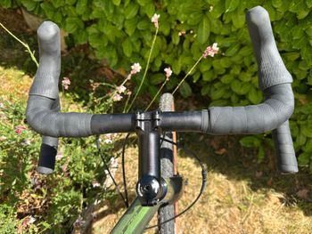 Used Nakamura Allroad 250 2024 Road & Gravel, Green — image 7 of 12