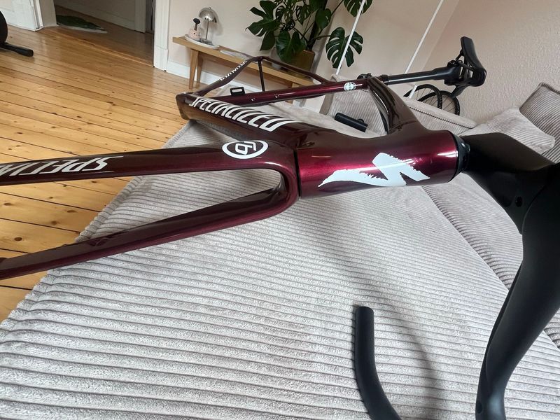Specialized Allez Sprint Frameset 2025 Frameset 2025 Road & Gravel d'occasion — image 6 sur 10