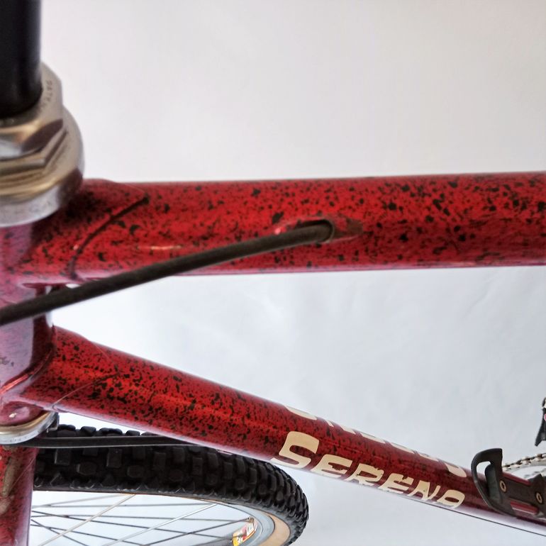 Used Serena Mtb, Mountain Bike, Vintage 1990 Mountainbike, Red — image 9 of 61
