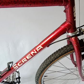 Used Serena Mtb, Mountain Bike, Vintage 1990 Mountainbike, Red — image 5 of 61
