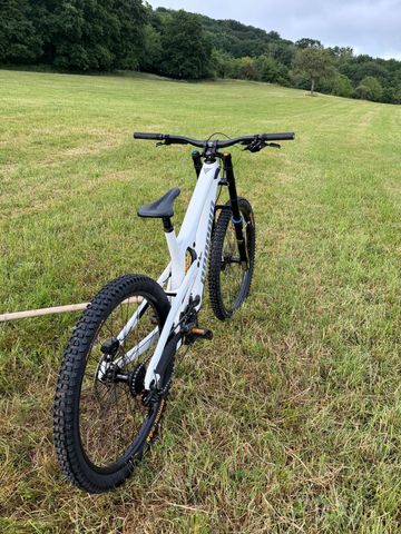 Brugt Propain RAGE 3 R CF 29 Base 2025 2025 Mountainbike — billede 2 af 6