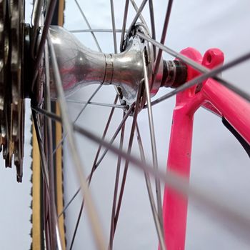 Used Serena Donna Anno 1990 Mtb, Mountain Bike, Vintage 1990 Mountainbike, Red — image 41 of 52