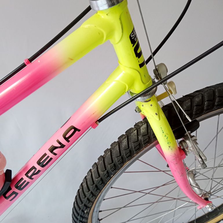 Used Serena Donna Anno 1990 Mtb, Mountain Bike, Vintage 1990 Mountainbike, Red — image 5 of 52