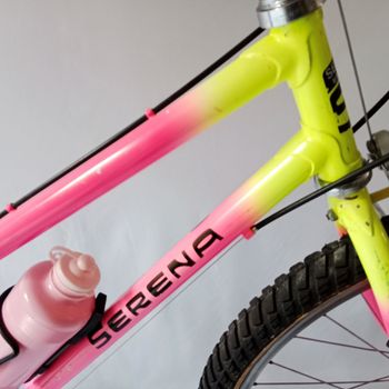 Used Serena Donna Anno 1990 Mtb, Mountain Bike, Vintage 1990 Mountainbike, Red — image 11 of 52