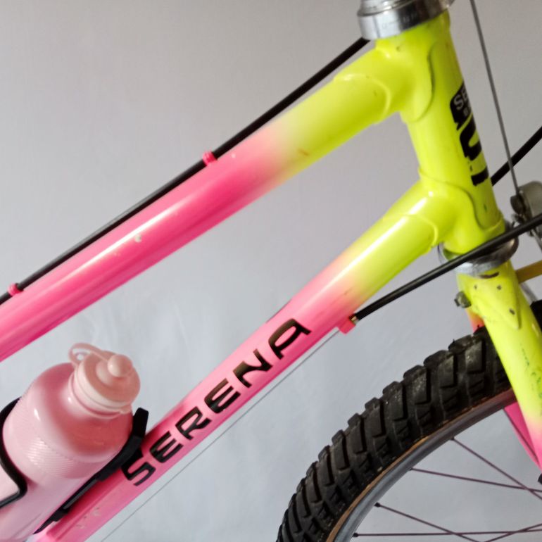 Used Serena Donna Anno 1990 Mtb, Mountain Bike, Vintage 1990 Mountainbike, Red — image 11 of 52