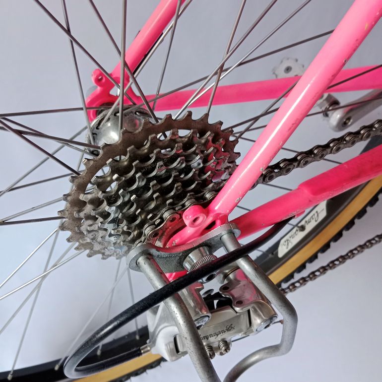 Used Serena Donna Anno 1990 Mtb, Mountain Bike, Vintage 1990 Mountainbike, Red — image 52 of 52