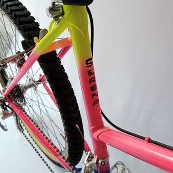 Used Serena Donna Anno 1990 Mtb, Mountain Bike, Vintage 1990 Mountainbike, Red — image 9 of 52