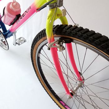 Used Serena Donna Anno 1990 Mtb, Mountain Bike, Vintage 1990 Mountainbike, Red — image 14 of 52