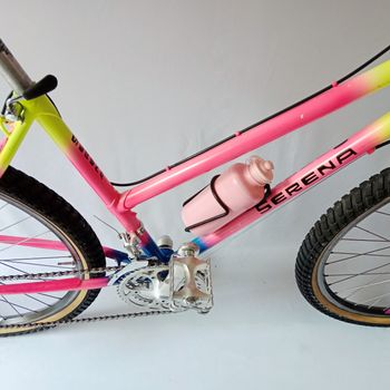 Used Serena Donna Anno 1990 Mtb, Mountain Bike, Vintage 1990 Mountainbike, Red — image 12 of 52