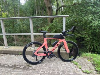 Brugt Canyon Speedmax CF 8 WMN Disc Di2 2021 2021 Road & Gravel
