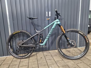 Used Canyon Strive CFR 2024 2024 MTB