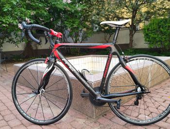 Gebrauchtes Pinarello Fp2 2012 Road & Gravel, Rot — Bild 12 von 12