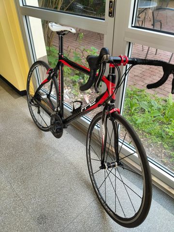 Used Pinarello Fp2 2012 Road & Gravel, Red — image 9 of 12