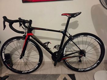 Used Giant Tcr Advanced 0 2019 2019 Road & Gravel