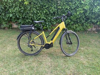 Used Focarini Custom Shimano Alivio 2024 Urban & Touring