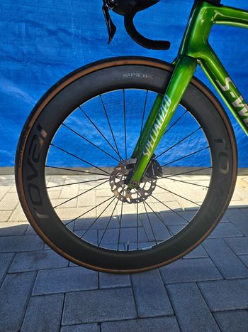 Used Specialized Tarmac Shimano Ultegra 2024 Road & Gravel, Green — image 5 of 17