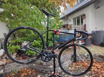 Použité Canyon Endurace AL Disc 8.0 2019 2019 Road & Gravel