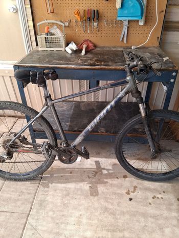 Used Talon 29 32020 Custom Campagnolo Record 2020 Mountainbike, Light Gray — image 3 of 3