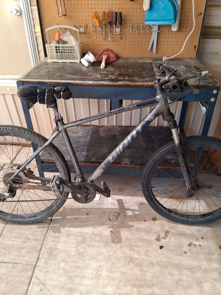 Used Talon 29 32020 Custom Campagnolo Record 2020 Mountainbike, Light Gray — image 3 of 3
