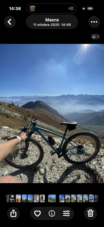 Used Specialized Women's Chisel Comp 2019 2019 Mountainbike, Blue, 29 — image 3 of 10
