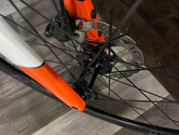 Used Berria BELADOR ELITE 105 2025 2025 Road & Gravel, White — image 11 of 20