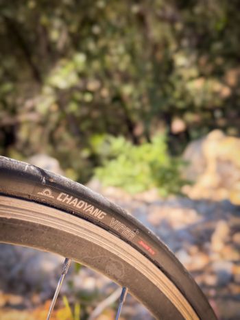 Used Gitane Custom Other Shimano 2001 Road & Gravel, Light Gray — image 7 of 7