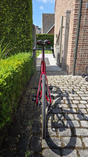 Used Ridley Noah Fast 3.0 - Shimano Dura Ace DI2 2x12 2025 2025 Road & Gravel, Red — image 8 of 8