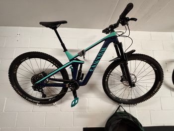 Used Canyon Strive CF 6.0 2019 2019 Mountainbike, Blue, 29 — image 4 of 19