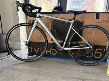 Used Cannondale CAAD Optimo 4 2022 2022 Road & Gravel