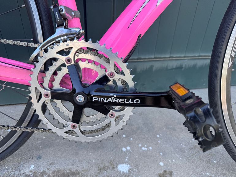 Used Pinarello Treviso Other Campagnolo 2009 Road & Gravel, Purple — image 3 of 12