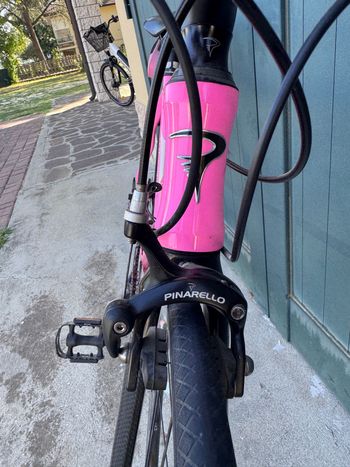 Used Pinarello Treviso Other Campagnolo 2009 Road & Gravel, Purple — image 7 of 12