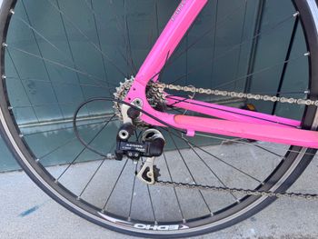 Used Pinarello Treviso Other Campagnolo 2009 Road & Gravel, Purple — image 4 of 12