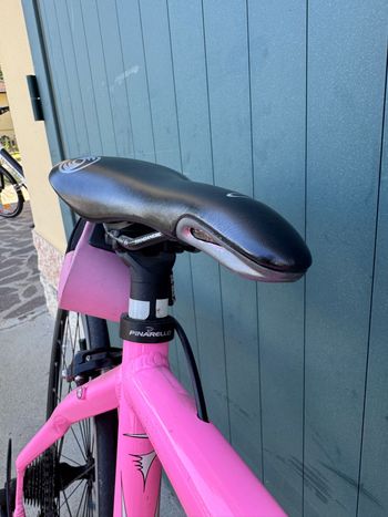 Used Pinarello Treviso Other Campagnolo 2009 Road & Gravel, Purple — image 11 of 12