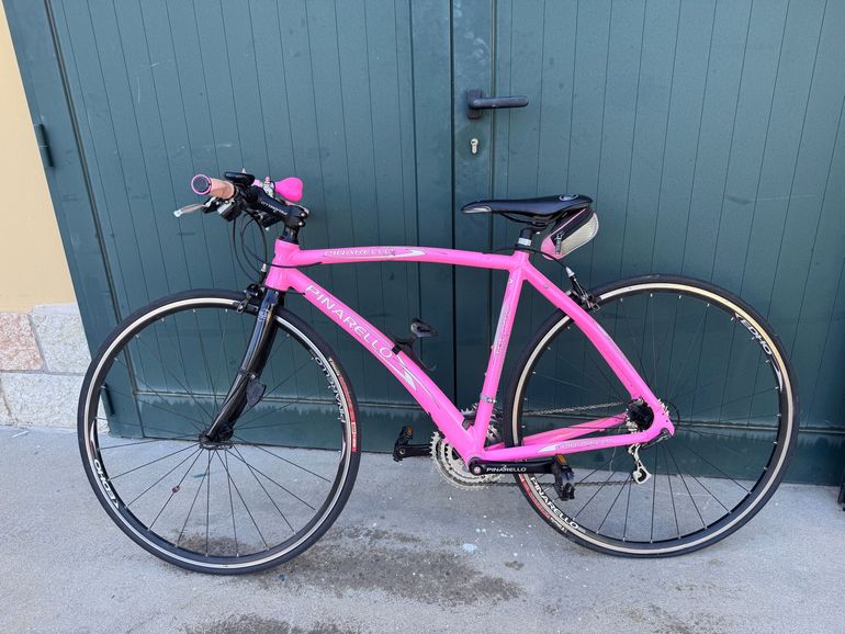 Used Pinarello Treviso Other Campagnolo 2009 Road & Gravel, Purple — image 2 of 12