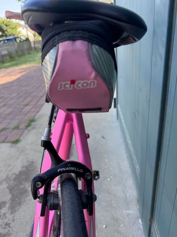 Used Pinarello Treviso Other Campagnolo 2009 Road & Gravel, Purple — image 8 of 12