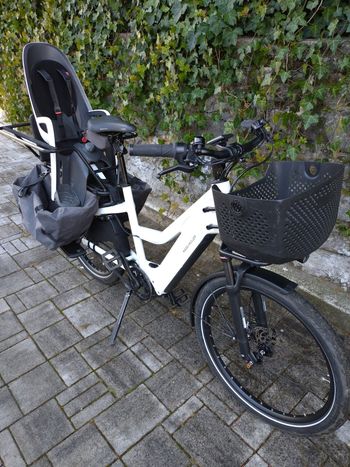 Used Riese & Müller Multicharger2 Enviolo Hub Gear 2023 Urban, White — image 3 of 6