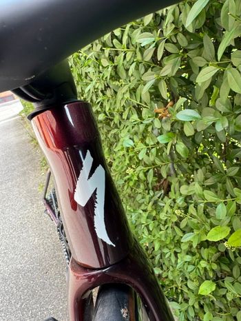 Używany Specialized S-Works Tarmac SL8 - Shimano Dura-Ace Di2 2025 2025 Road & Gravel — zdjęcie 16 z 24